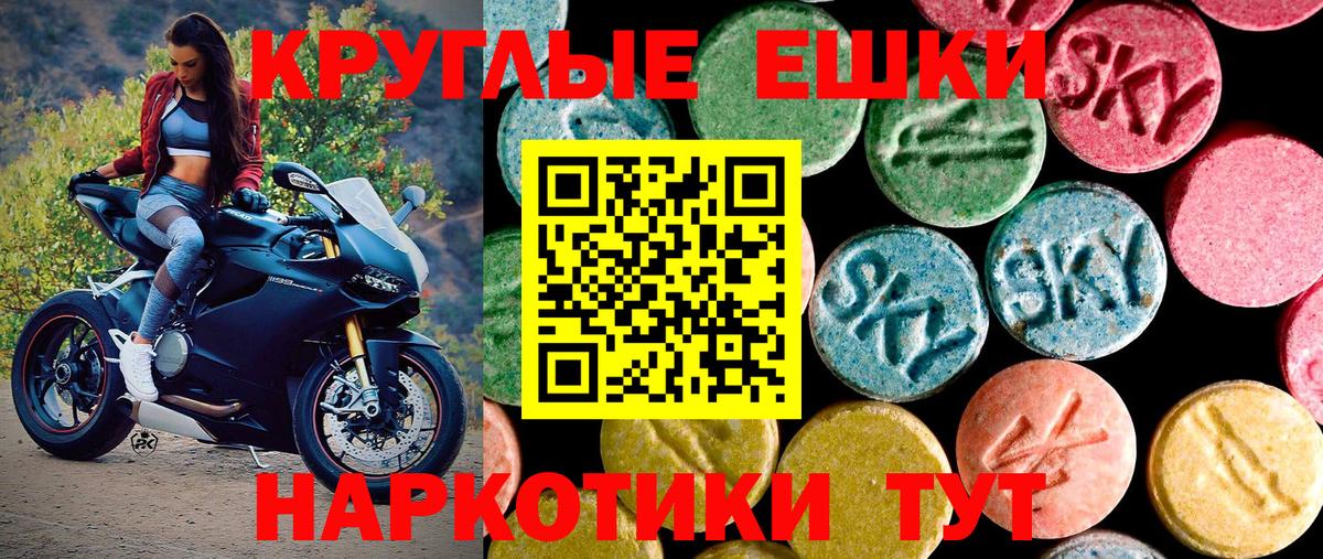 Ecstasy бентли Заволжье